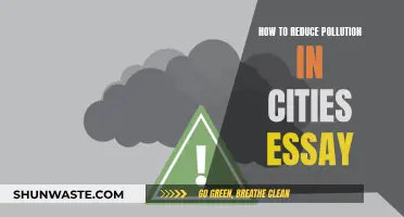 Reducing Urban Pollution: Strategies for Cleaner Cities