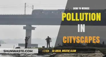 Green City Solutions: Reducing Pollution's Impact