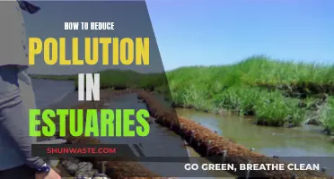 Protecting Estuaries: Reducing Pollution for a Healthier Ecosystem