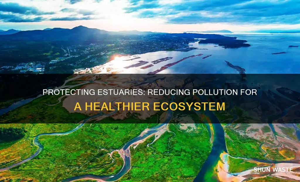 how to reduce pollution in estuaries