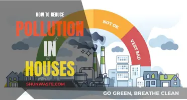 Purifying Home Air: Simple Steps to Reduce Indoor Pollution