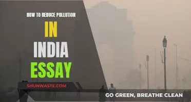 Strategies to Reduce Pollution in India