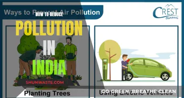 Reducing Pollution in India: Strategies for a Sustainable Future