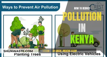 Reducing Pollution in Kenya: Strategies for a Greener Future