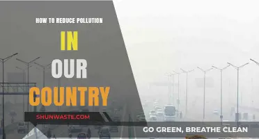 Reducing Pollution: Steps to a Cleaner Country