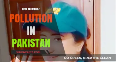 Green Pakistan: Reducing Pollution for a Better Future