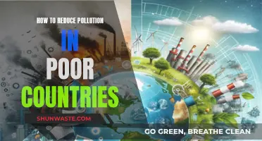 Poor Countries: Reducing Pollution, Improving Lives