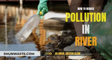 Cleaning Rivers: Reducing Pollution with Effective Strategies