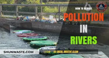 Cleaning Rivers: Strategies to Combat Water Pollution