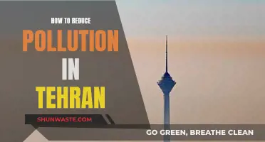 Reducing Tehran's Pollution: Strategies for Cleaner Air