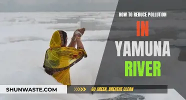 Cleaning Yamuna: Strategies to Reduce Pollution in the Holy River