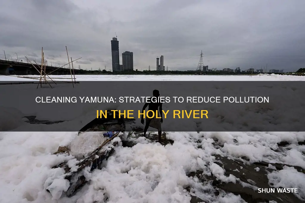 how to reduce pollution in yamuna river