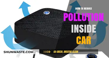 Breathe Easy: Reduce Car Pollution