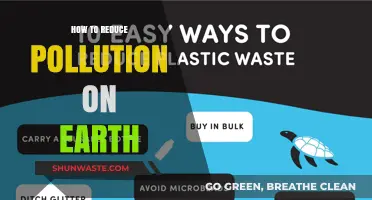 Preserving Earth: Reducing Pollution for a Greener Tomorrow