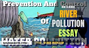 Reducing River Pollution: Strategies for a Cleaner Future