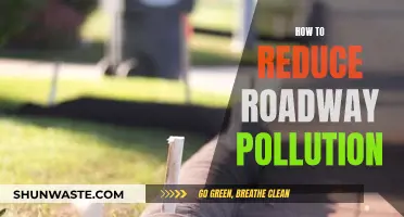 Reducing Roadway Pollution: Strategies for Cleaner Air