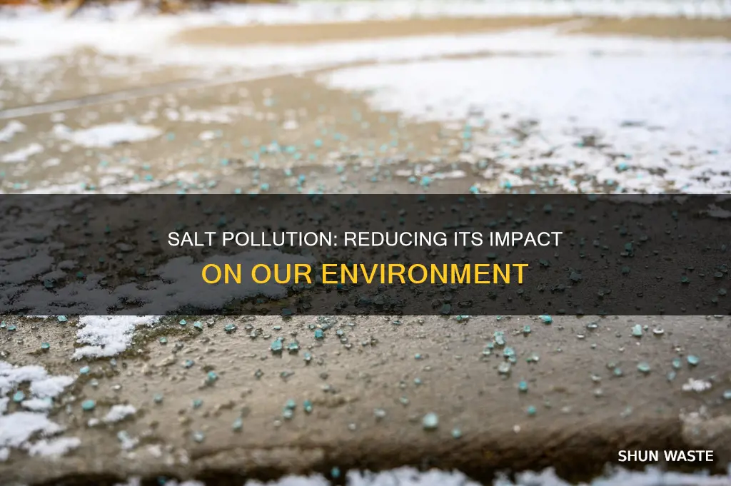 how to reduce salt pollution