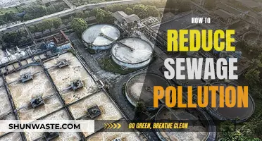 Reducing Sewage Pollution: Strategies for Cleaner Waterways