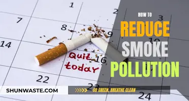 Strategies to Reduce Smoke Pollution and Breathe Easier