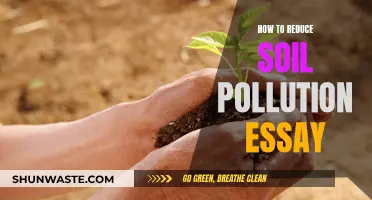 Soil Pollution: Reducing Its Harmful Impact