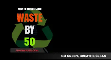 Slash Solid Waste by Half: Practical Tips for a Greener Lifestyle