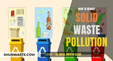 Solid Waste Pollution: Strategies for Reduction and a Sustainable Future