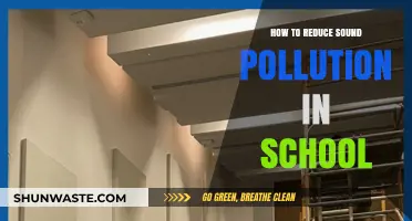 Minimizing School Noise Pollution: Strategies for a Quieter Environment