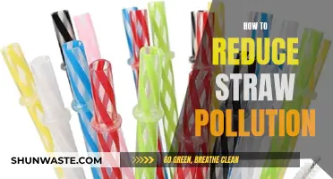 Reducing Straw Pollution: Simple Steps to a Cleaner Planet