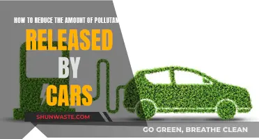 Reducing Car Pollutants: Strategies for Cleaner Air