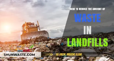Sustainable Solutions: Effective Strategies to Minimize Landfill Waste