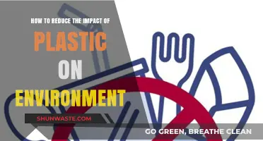 Sustainable Steps to Minimize Plastic's Environmental Footprint Effectively
