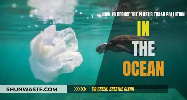 Reducing Ocean Plastic Pollution: Simple Steps to a Cleaner Sea