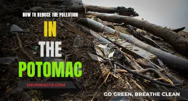 Protecting the Potomac: Strategies to Reduce Pollution