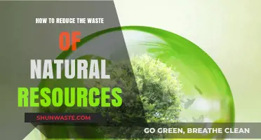Sustainable Living: Smart Strategies to Conserve Natural Resources Effectively