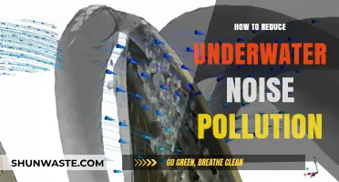 Mitigating Underwater Noise: Strategies to Reduce Sonic Pollution