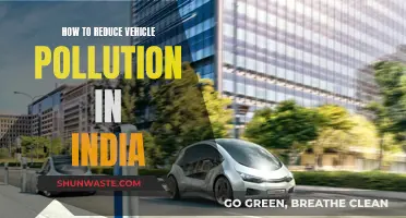 Reducing Vehicle Pollution: India's Sustainable Future