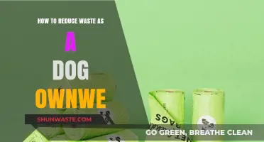 Eco-Friendly Pet Parenting: Tips to Reduce Waste as a Dog Owner