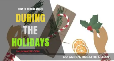 Eco-Friendly Holiday Tips: Reduce Waste, Celebrate Sustainably This Season