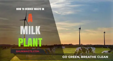Sustainable Milk Production: Strategies to Minimize Waste in Dairy Plants