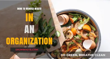 Sustainable Strategies to Minimize Waste and Boost Organizational Efficiency