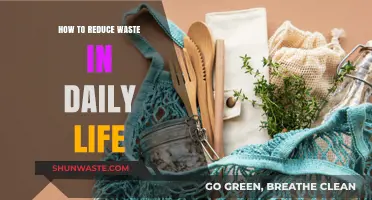 Sustainable Living: Simple Steps to Cut Daily Waste Effectively
