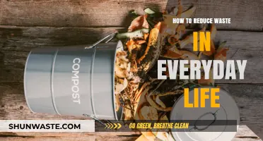 Simple Steps to Slash Waste and Live Sustainably Every Day
