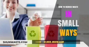 Simple Steps to Cut Waste: Small Changes, Big Impact