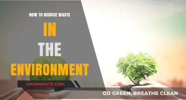Sustainable Living: Practical Tips to Reduce Environmental Waste Effectively