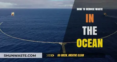 Sustainable Solutions: Reducing Ocean Waste for a Healthier Planet