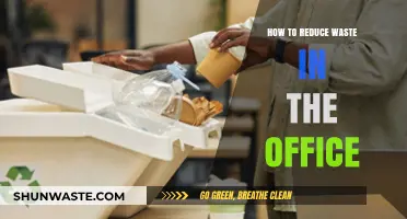 Sustainable Office Solutions: Practical Tips to Minimize Workplace Waste