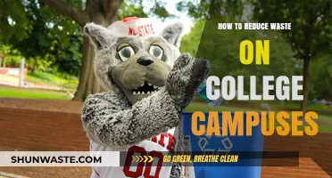 Sustainable Campus Living: Practical Tips to Reduce Waste in College