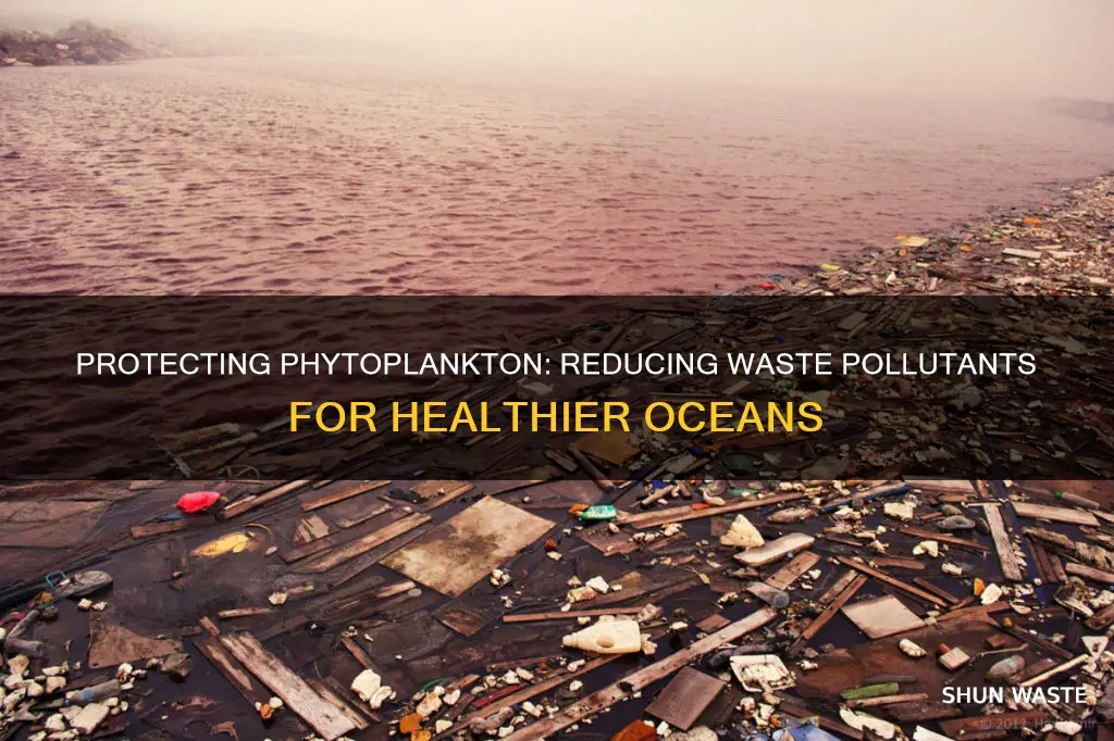 how to reduce waste pollutants that affect phytoplankton