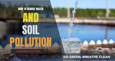 Natural Solutions: Protecting Our Waterways and Soil from Pollution