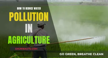 Agriculture's Water Pollution: Strategies for Sustainable Farming